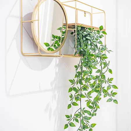 Cozy Urban Escape In